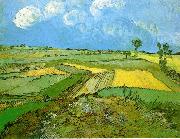Wheat Fields at Auvers Under Clouded Sky, Vincent Van Gogh